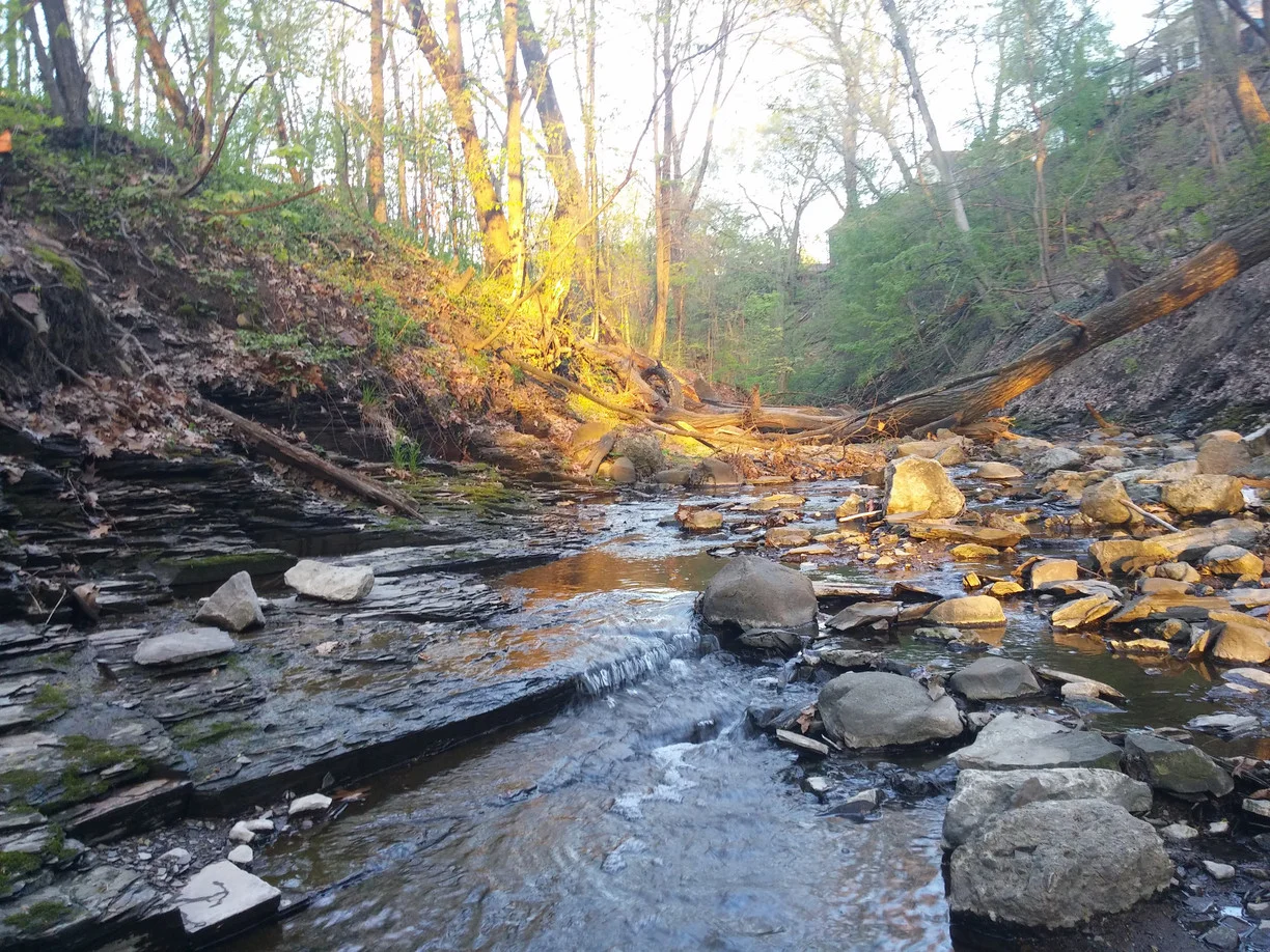 Water Monitoring Citizen Science Project