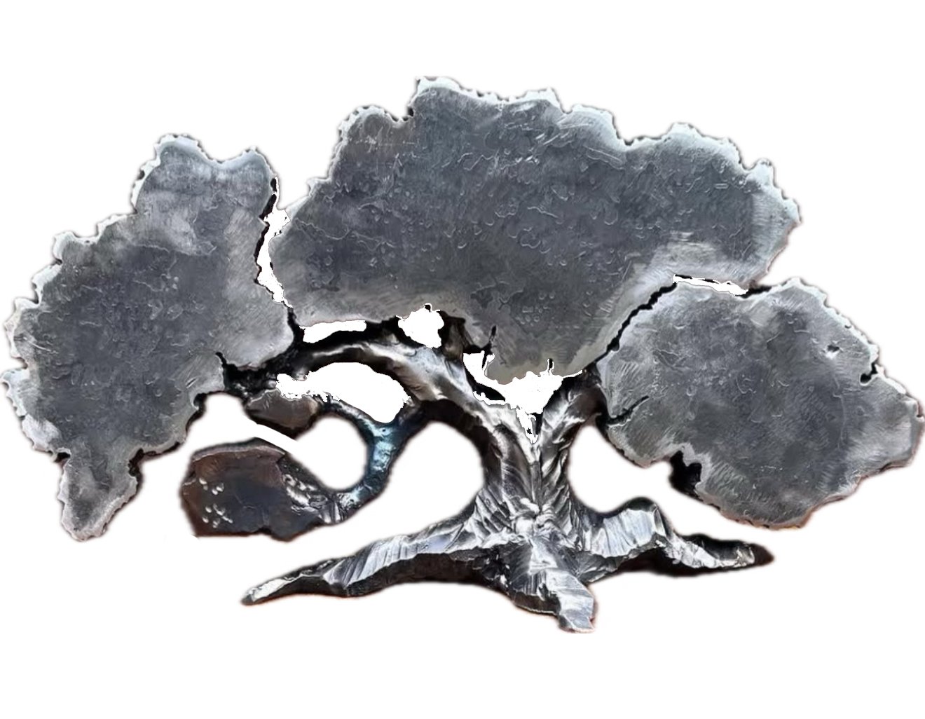 Oak