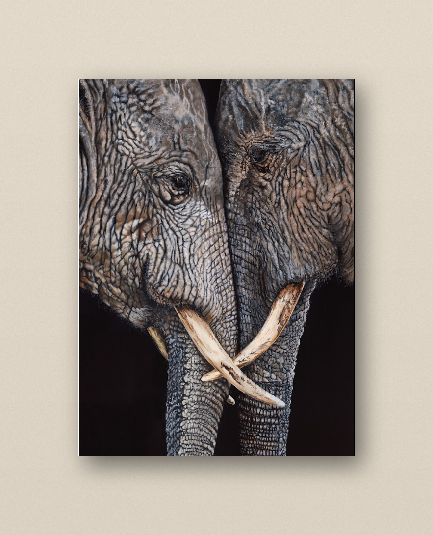 elephant_on_beige_cropped.png