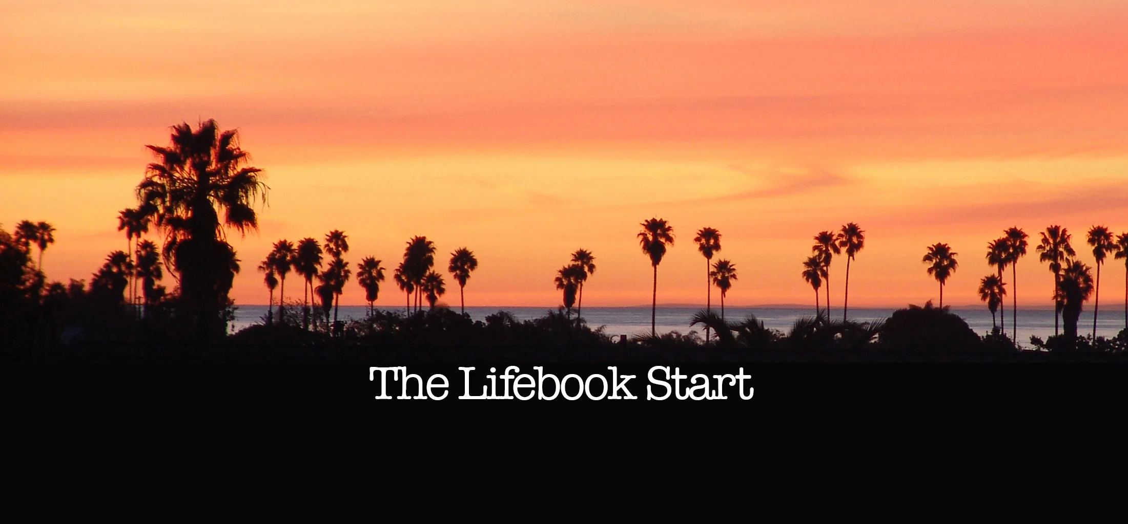 Lifebook Start.JPG