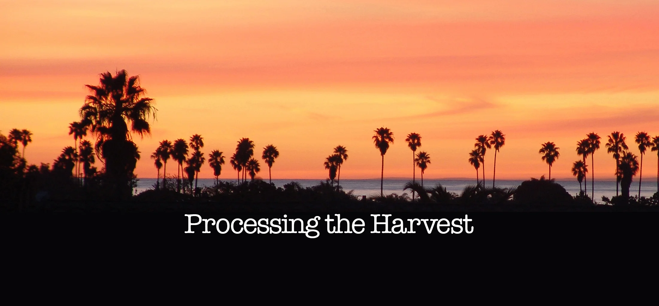 Processing the Harvest Title.JPG