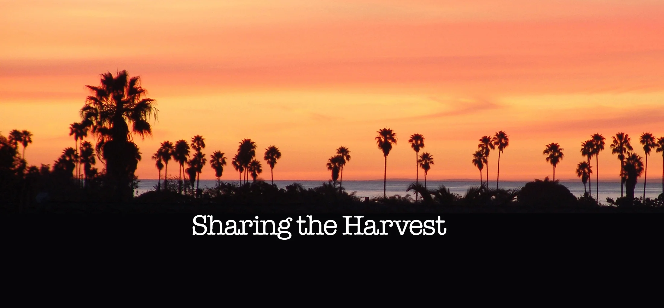 Sharing the Harvest.JPG
