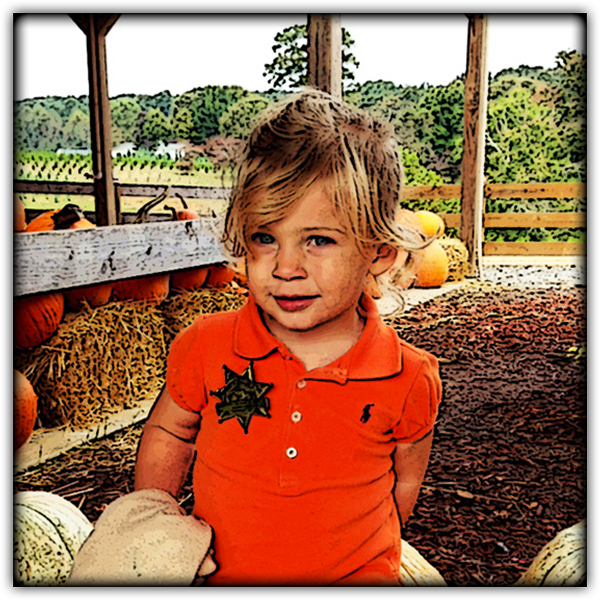 Pumpkin Patch 600.JPG