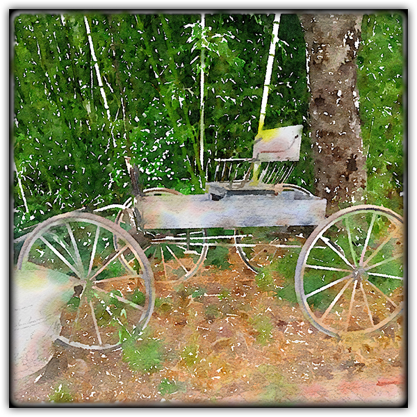 Buckboard 600.JPG