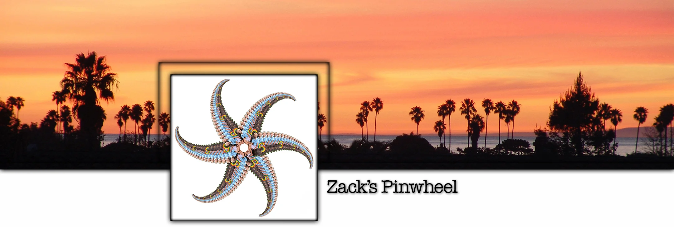 Zack's Pinwheel Title.JPG