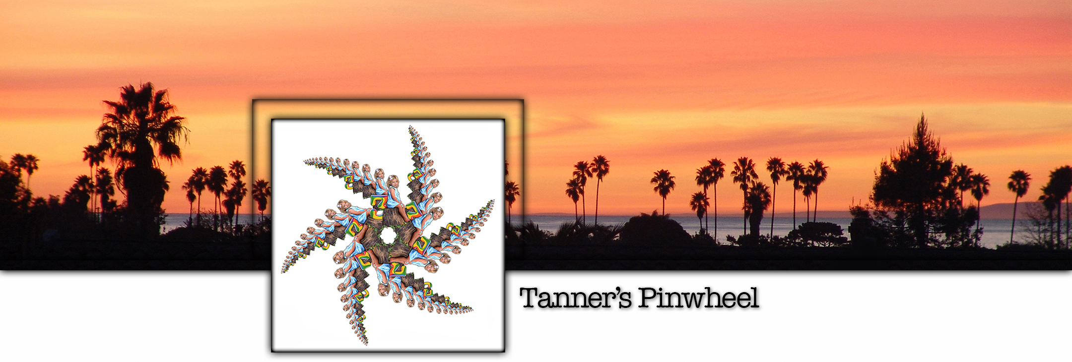 Tanner's Pinwheel Title.JPG