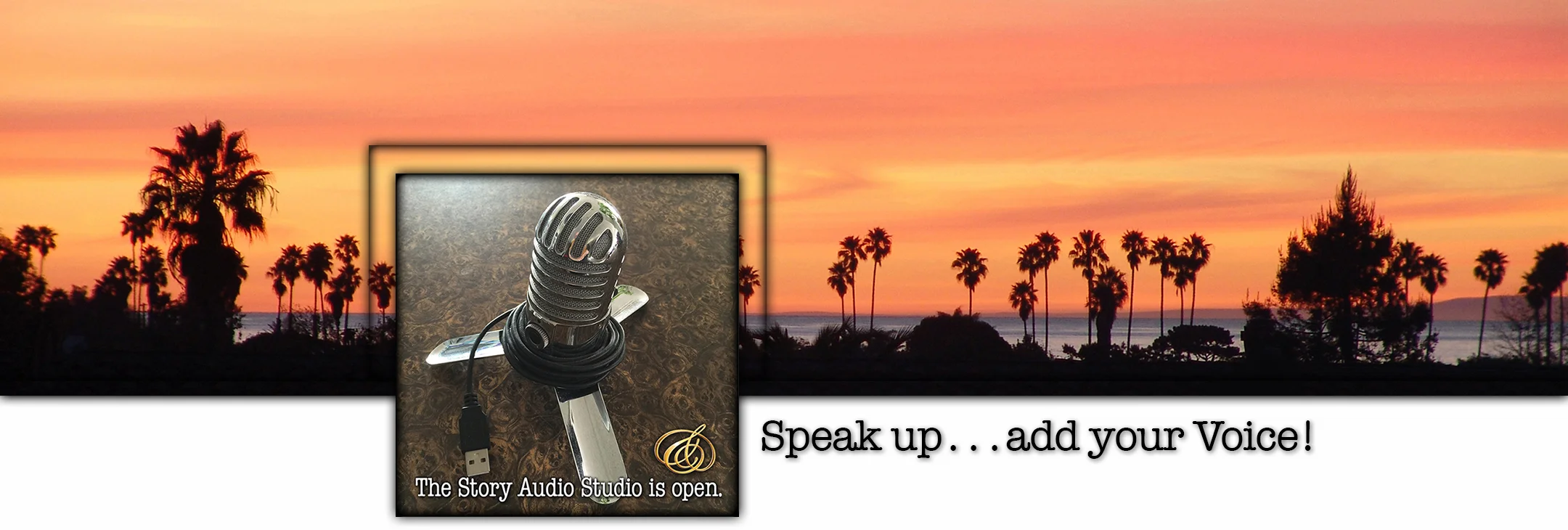 Voice Title Slide.JPG