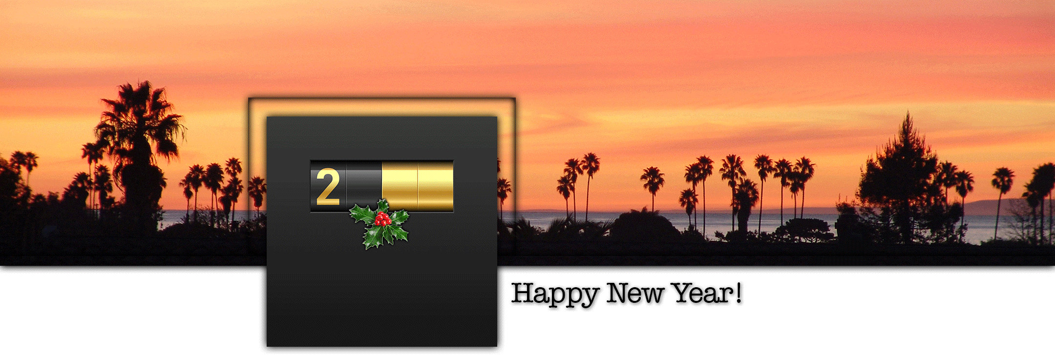 New Year 2017.gif
