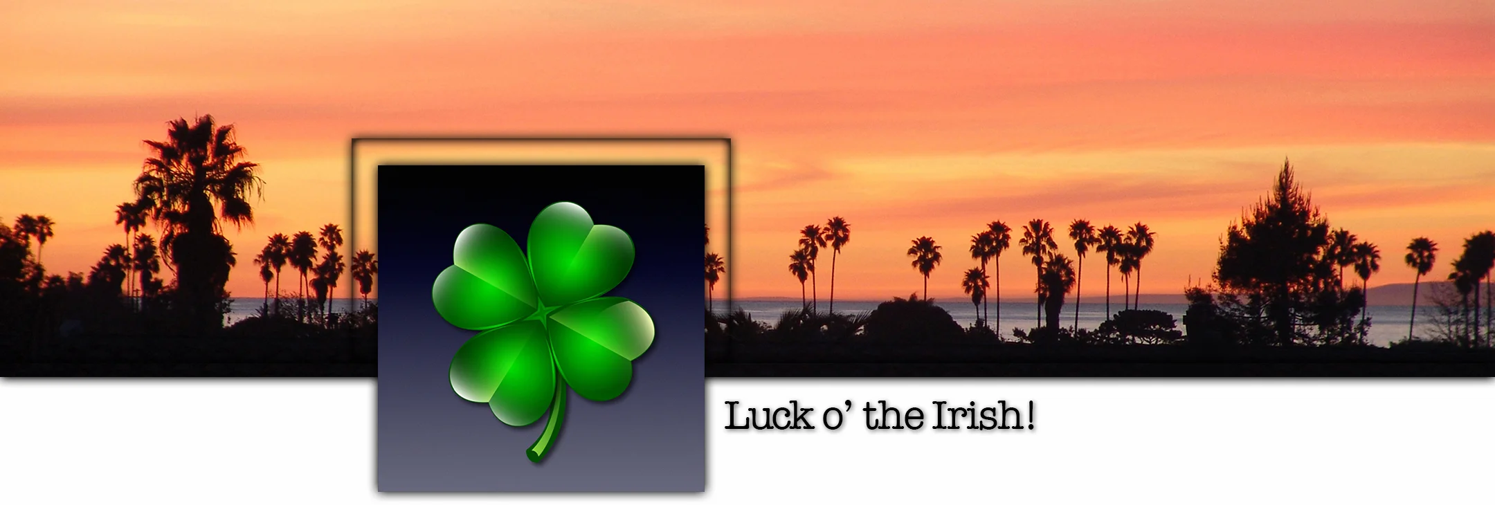 Shamrock Title.JPG