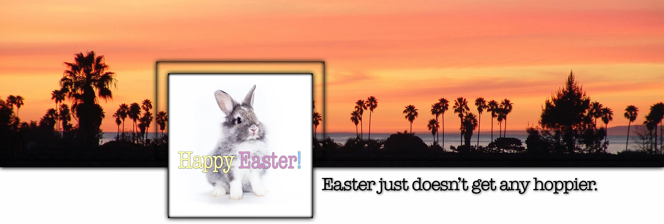 Bunny Title.JPG
