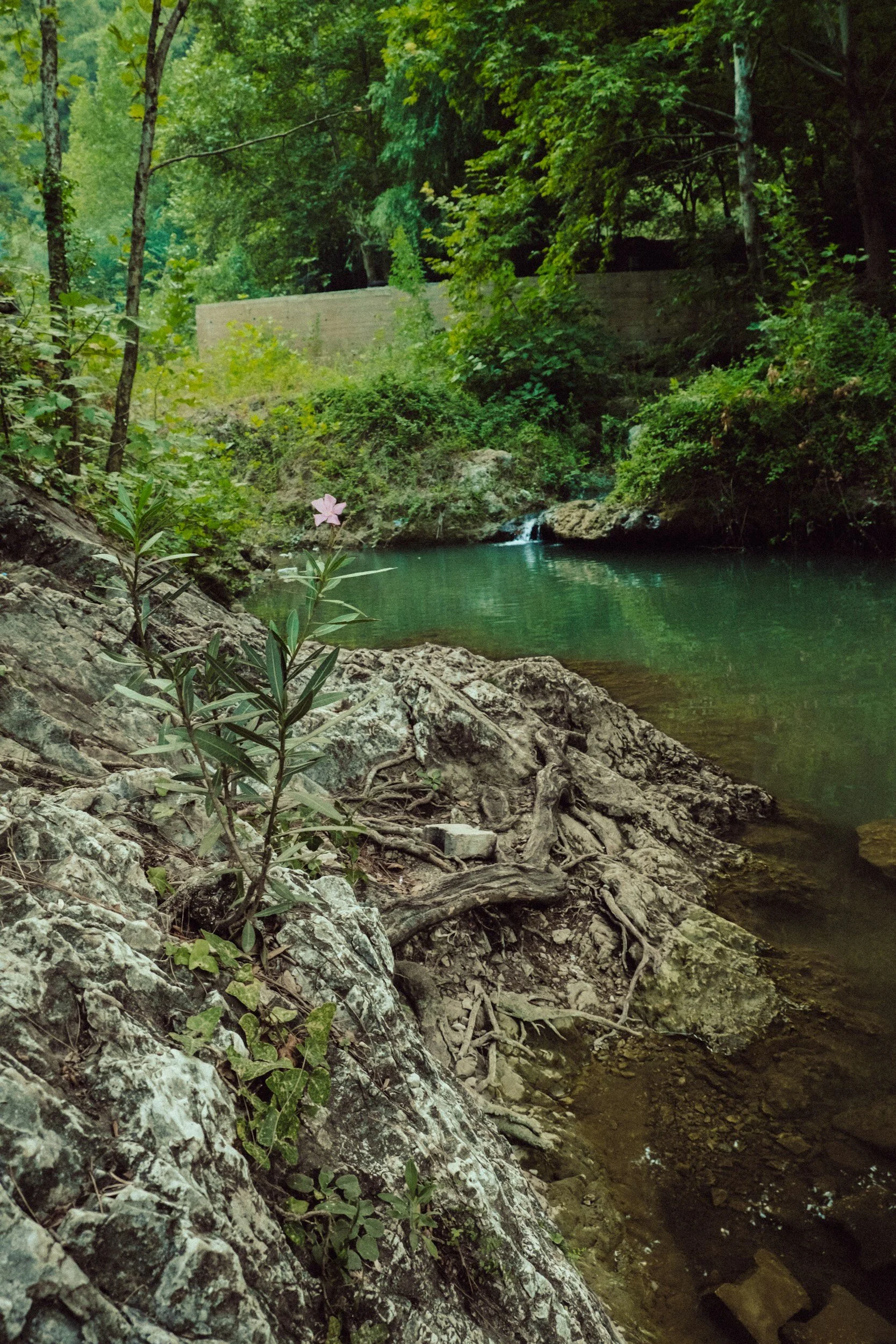 Innovative Approaches to Managing Stormwater Runoff