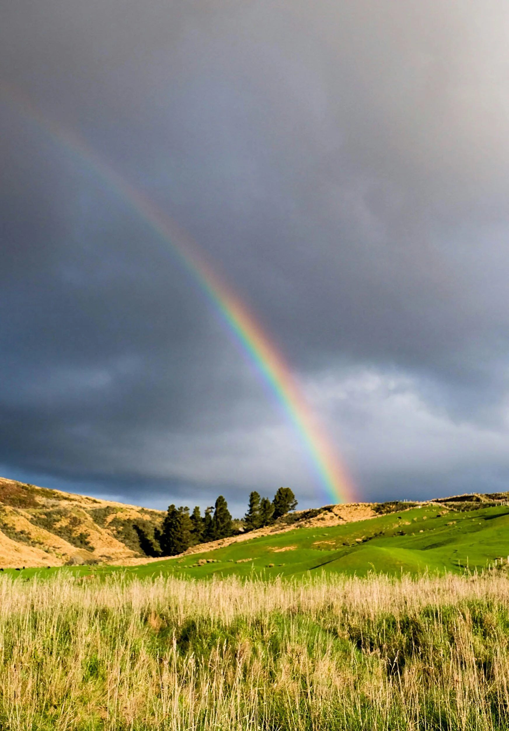 After a Rain Event