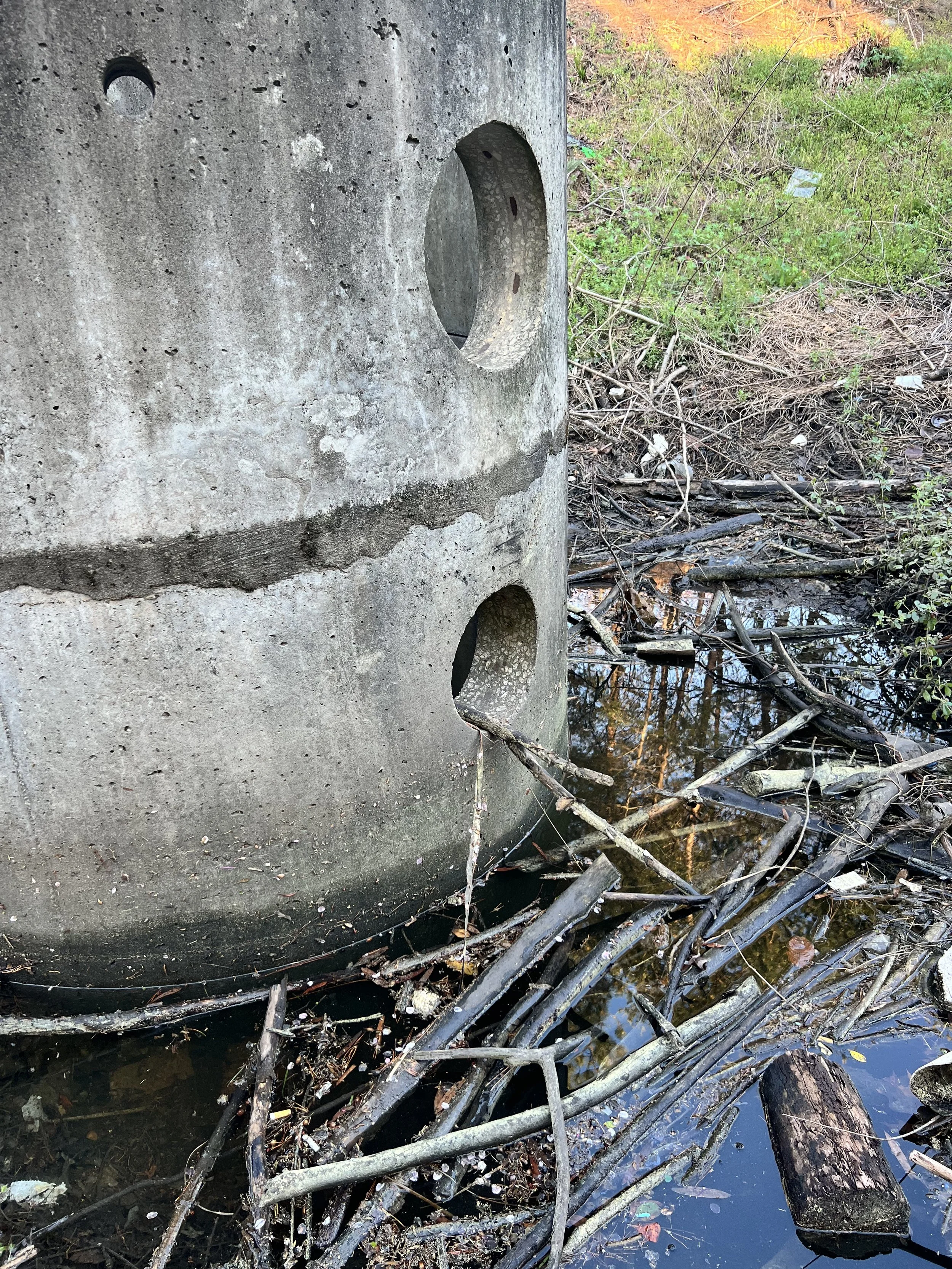 Standing Water and Debris