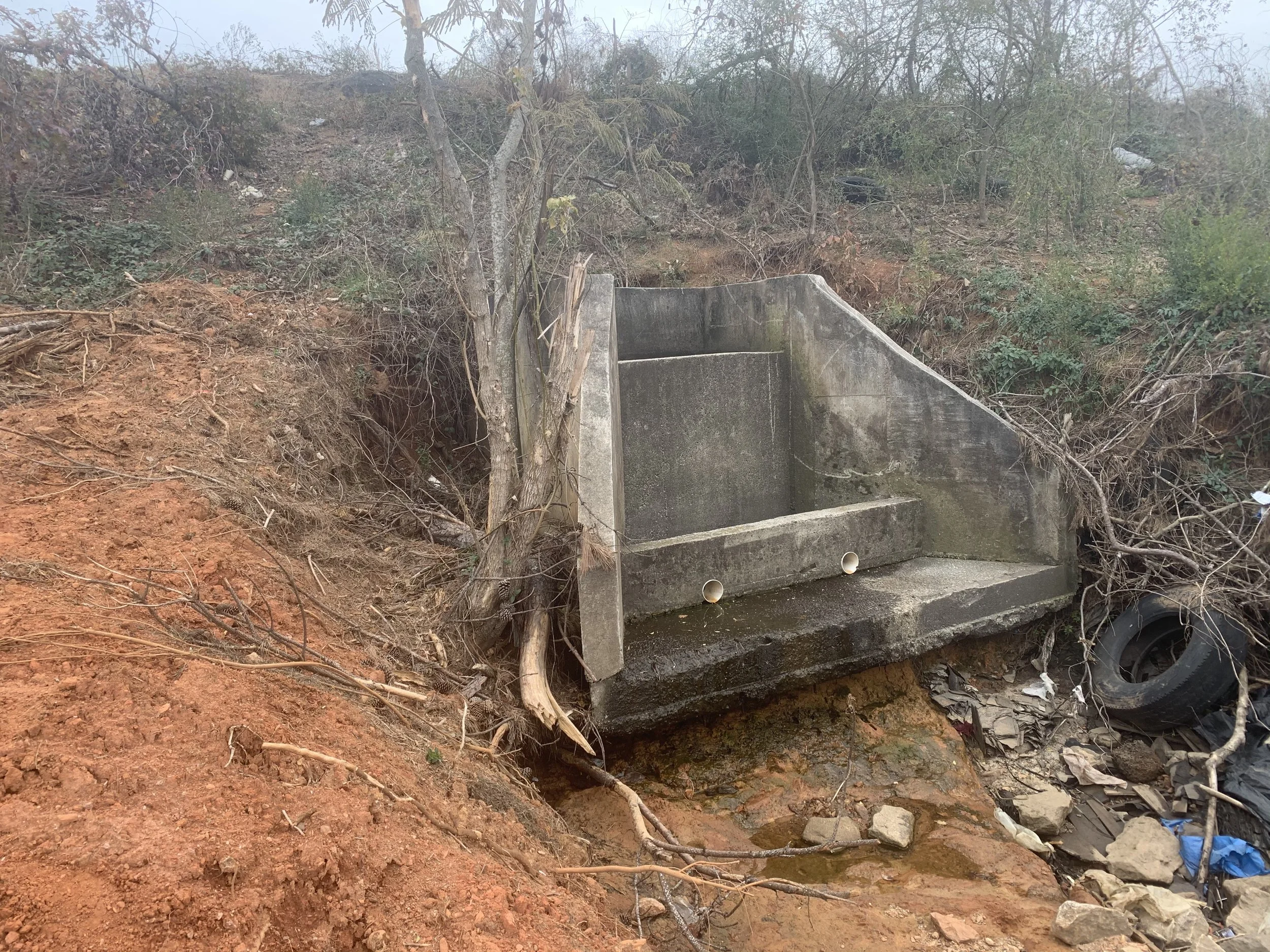Vegetation around structures