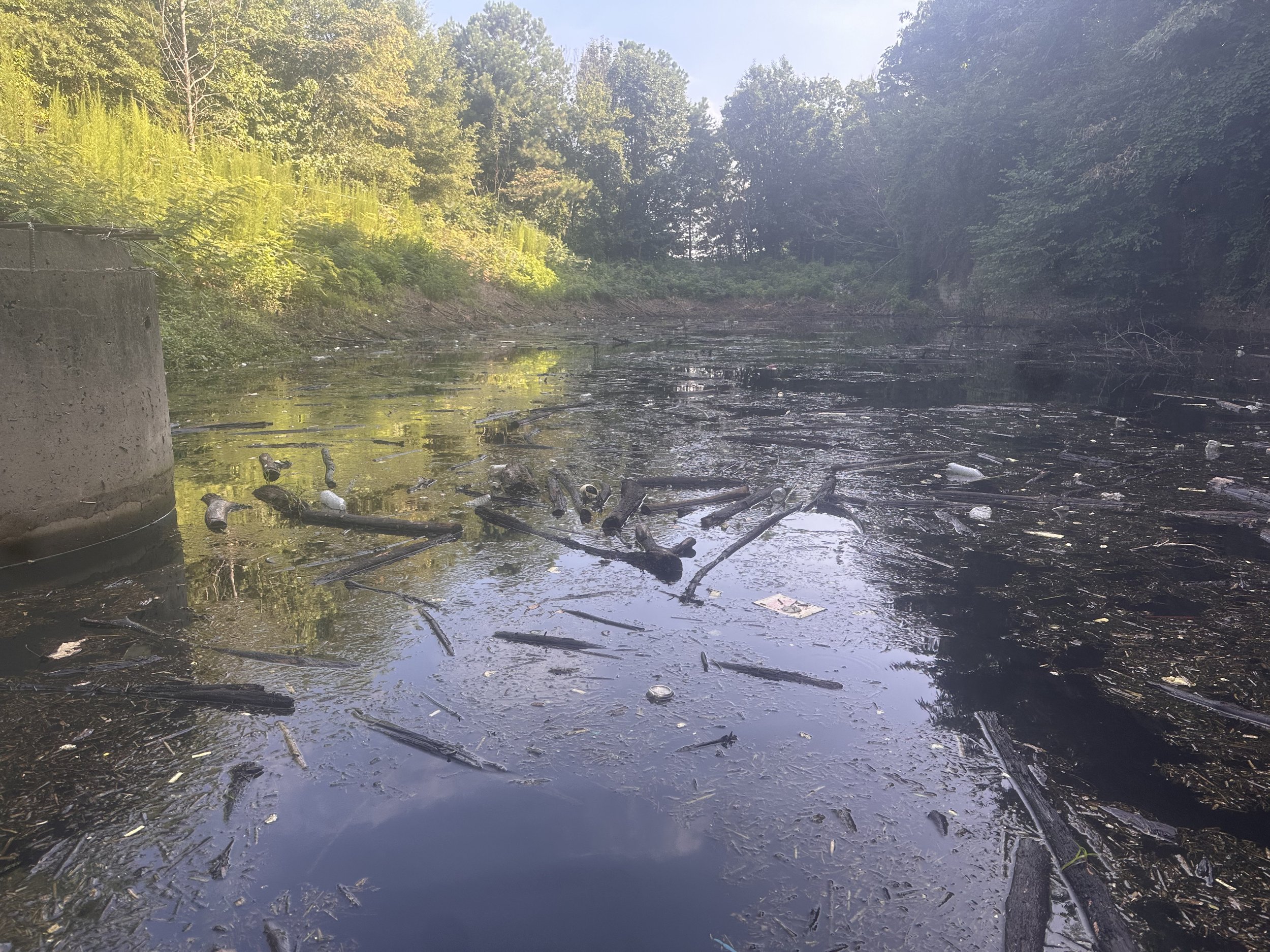  Water standing in pond. Cut vegetation left in basin 