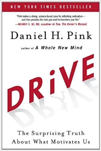 Drive: The Surprising Truth About What Motivates Us by Daniel Pink