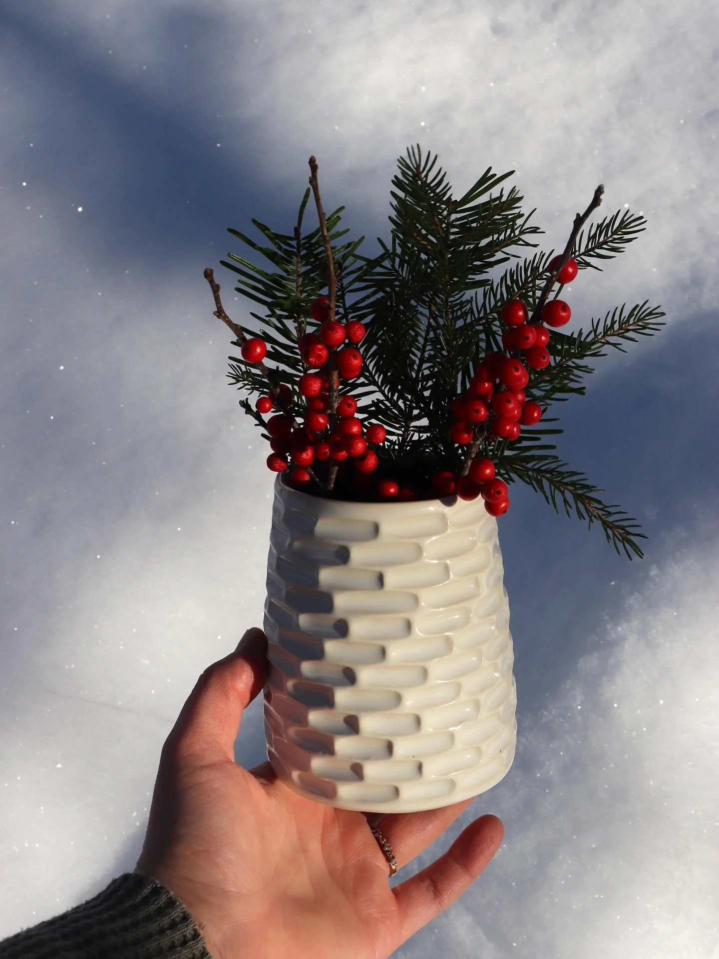 Sweetie little fluted vase looking right at home with all this snow!