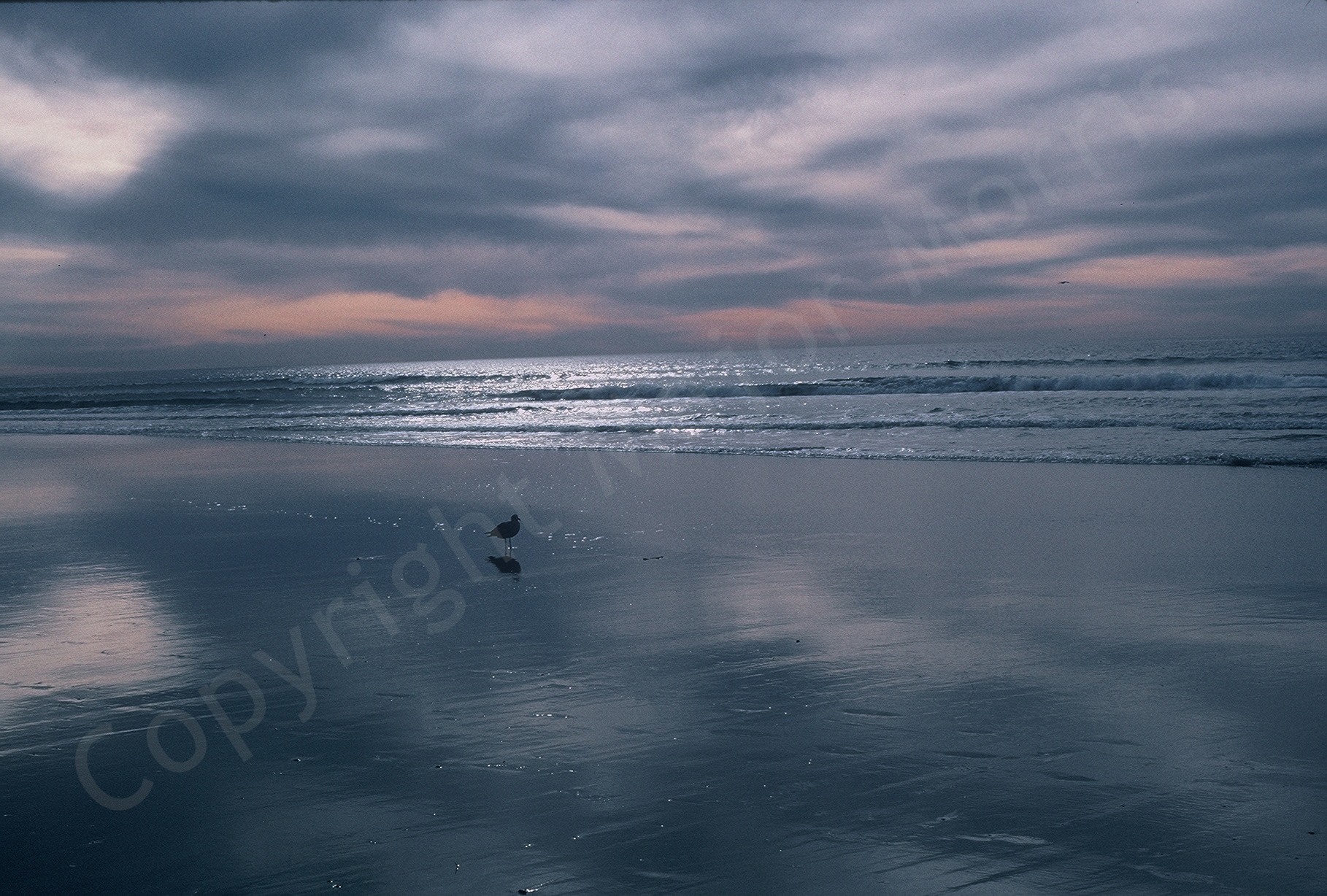   Almost Sunset - Oceanside  Color Photograph Copyright Major Morris 