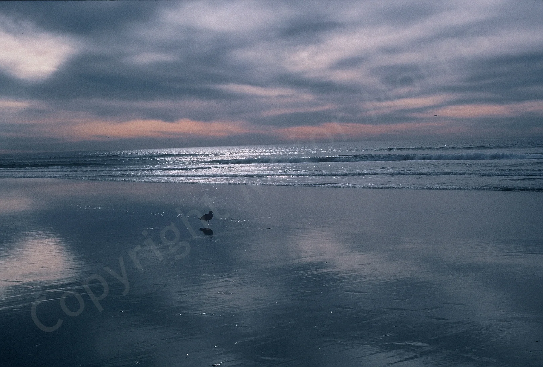 Almost Sunset - Oceanside Color Photograph Copyright Major Morris