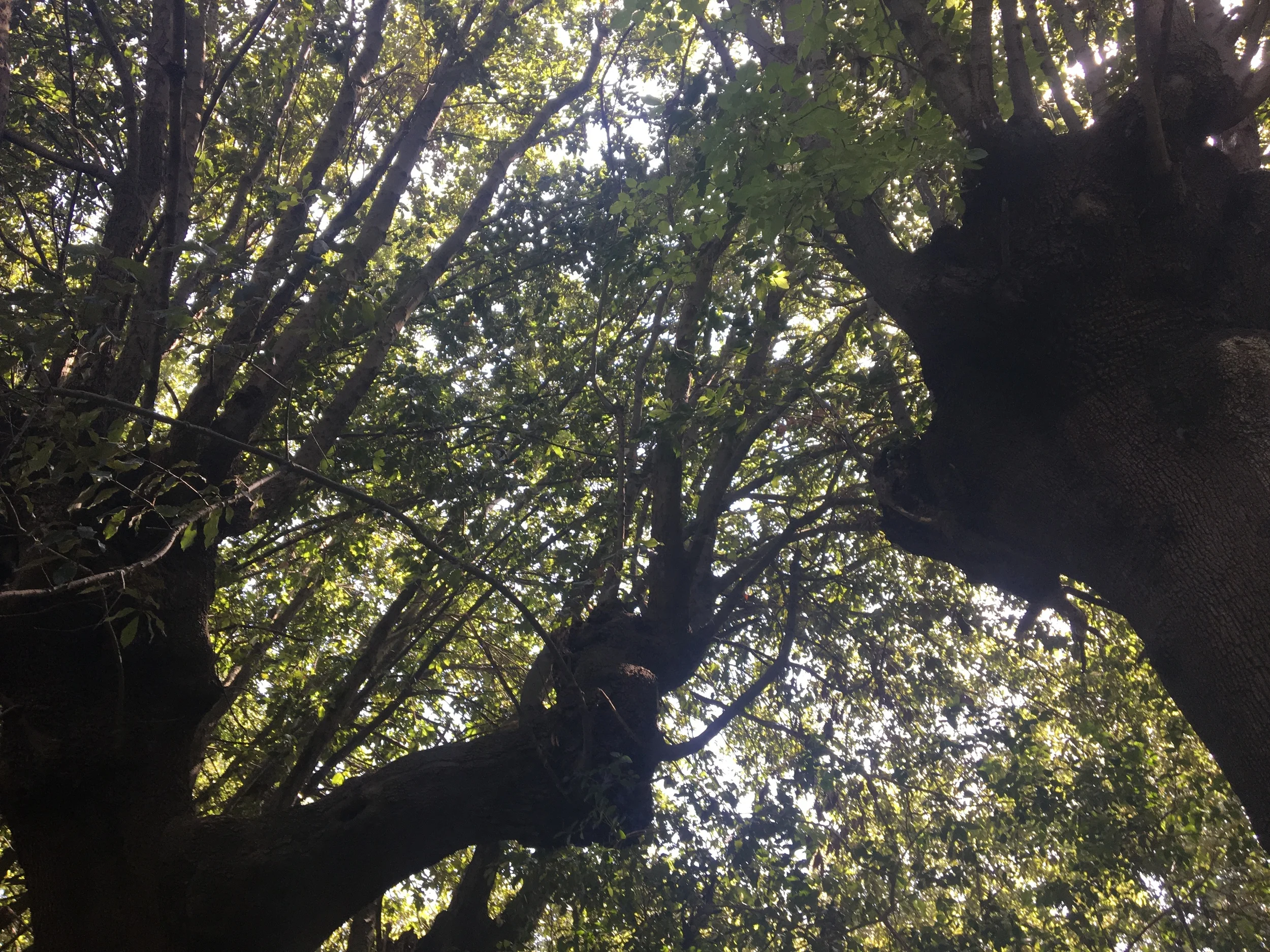 Lots of Updates to come in the next few hours.