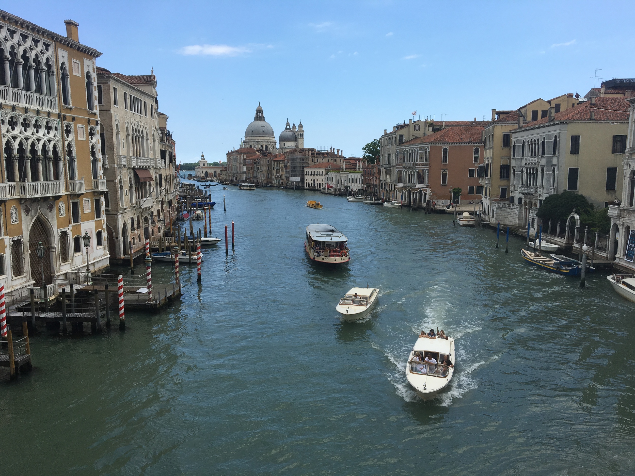 IMG_1585.JPG