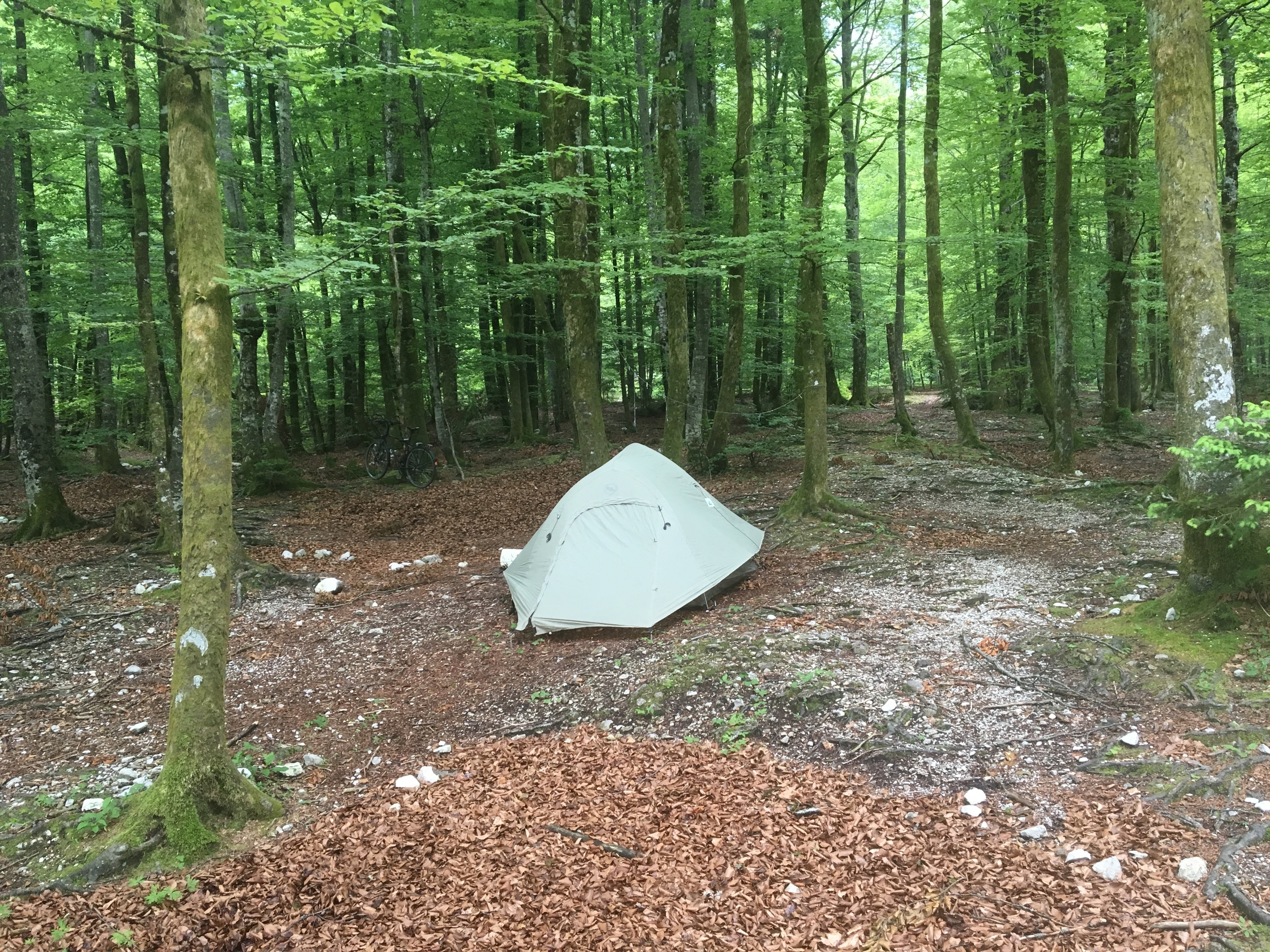 Camp Bohinj, Austria, and TheJulian Alps