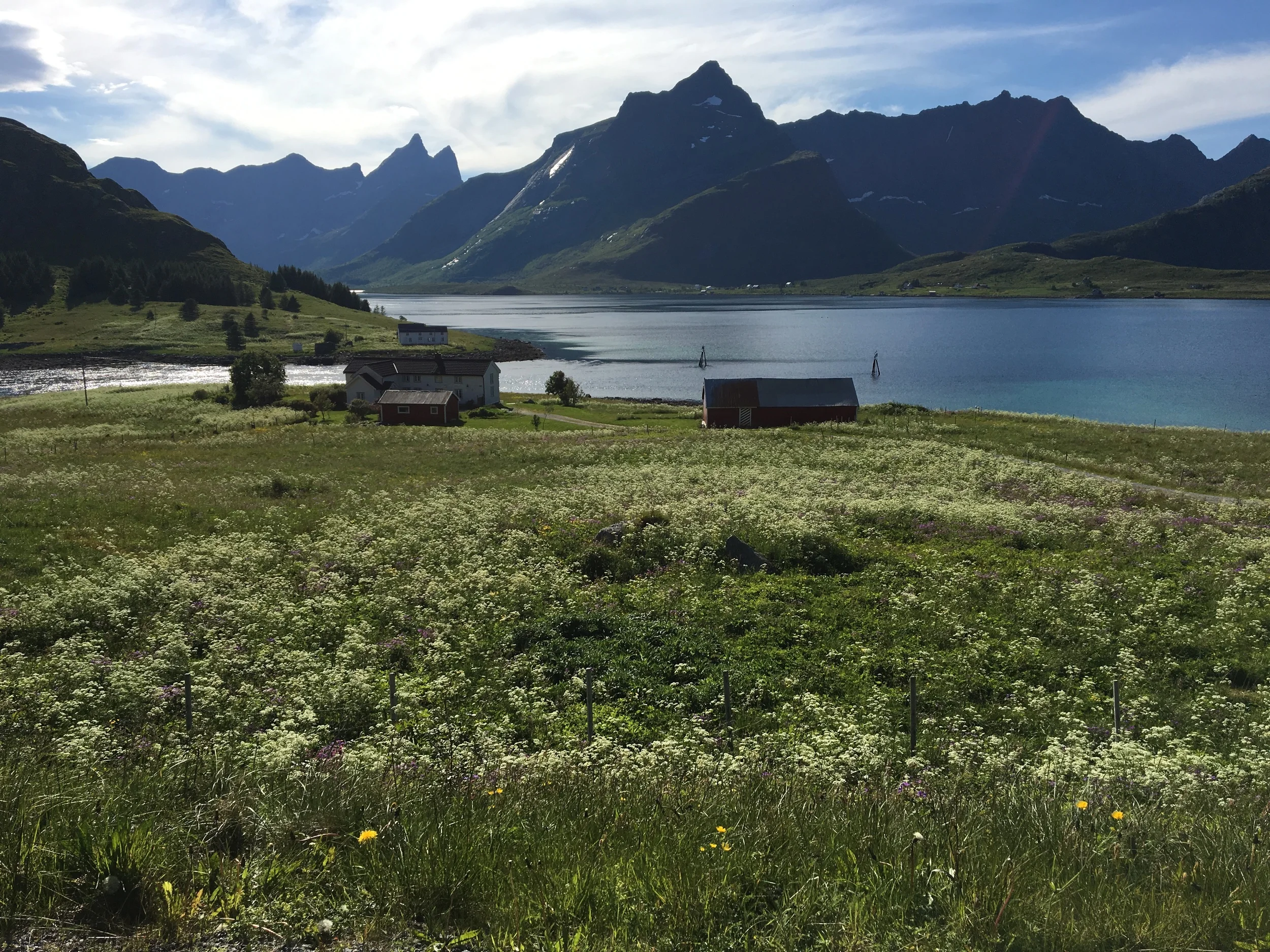 Lofoten Photos Continued