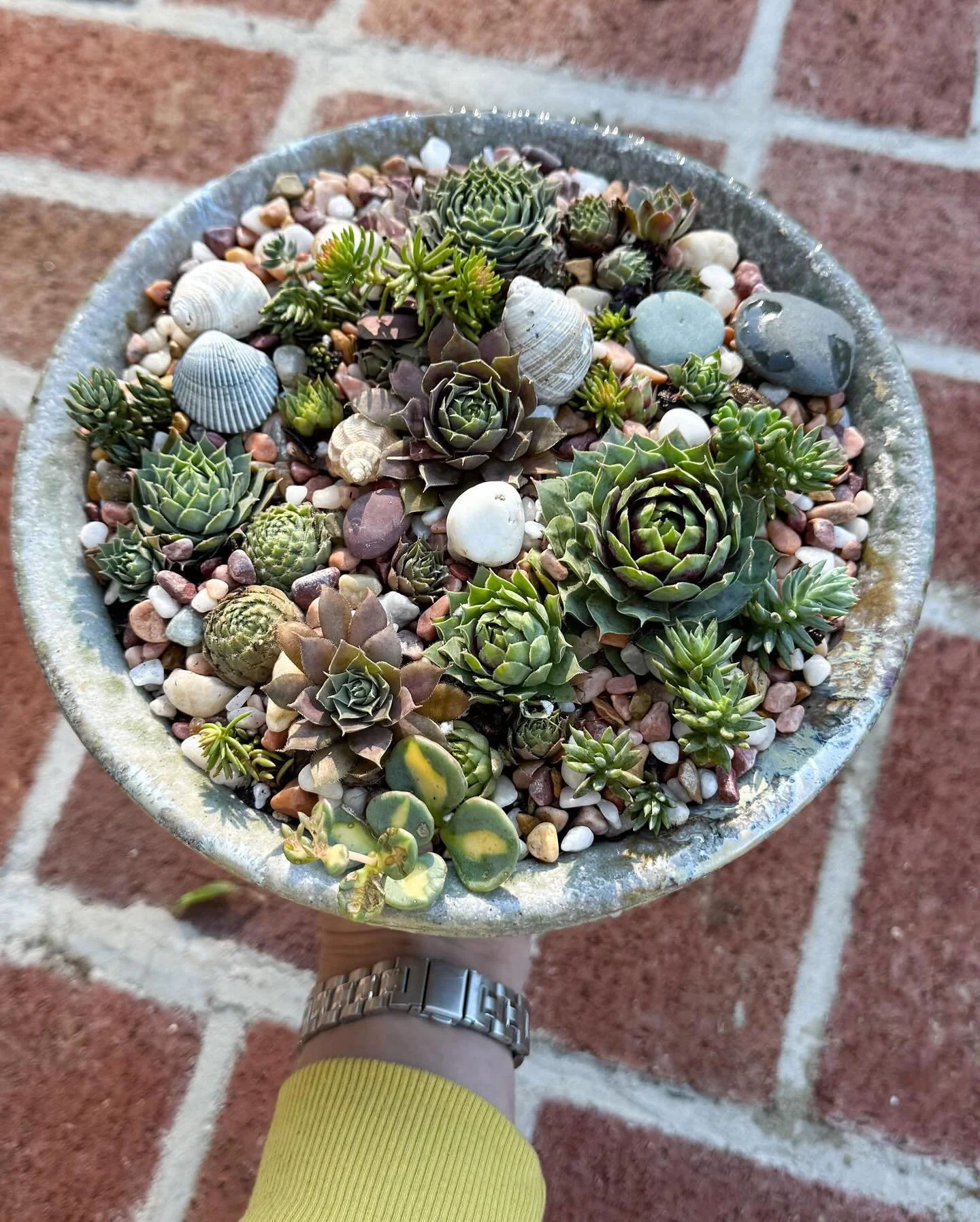 A little cutie I put together for my mom&rsquo;s birthday today. Happy birthday, Mum &hearts;️