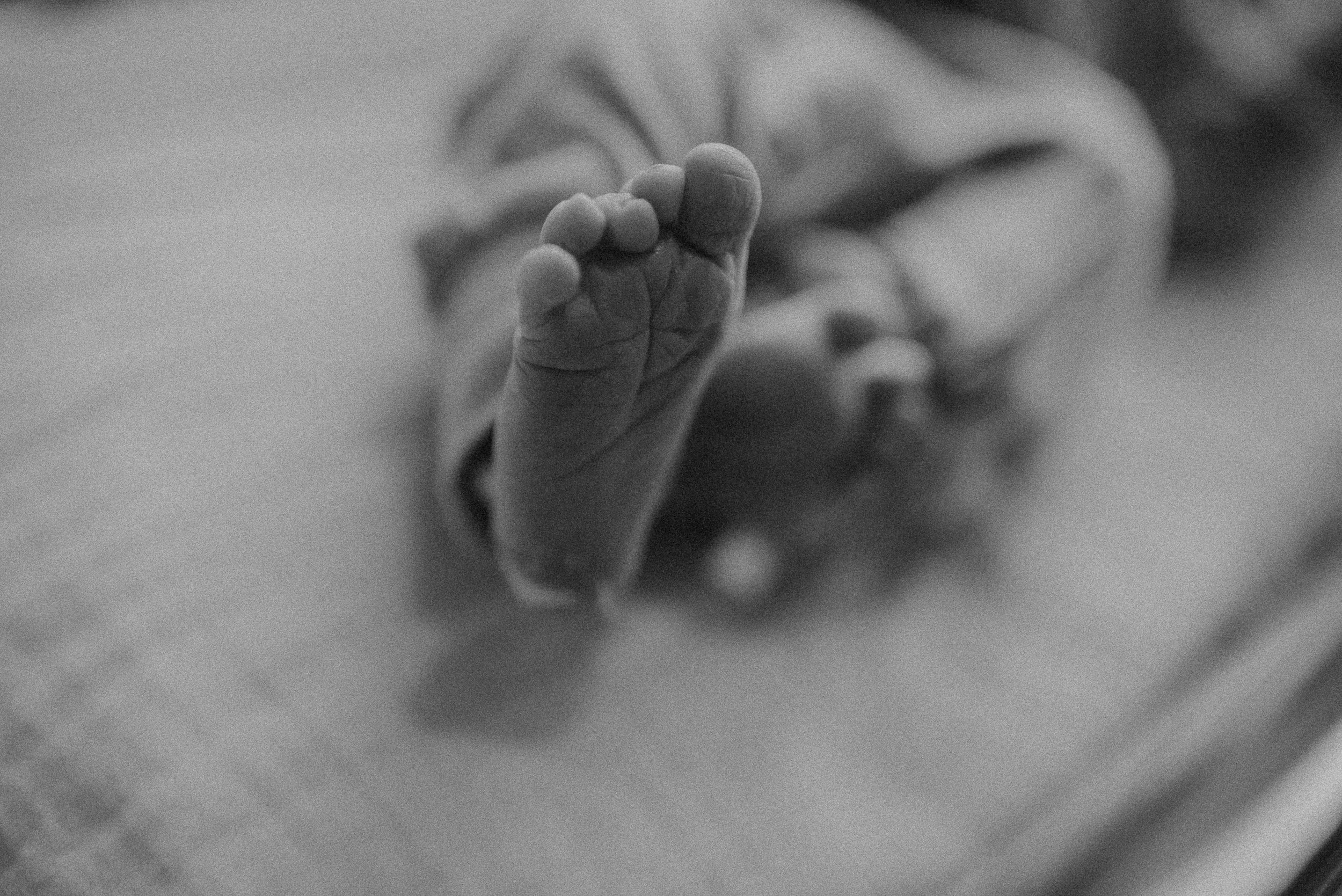 precious baby feet- first 48 session