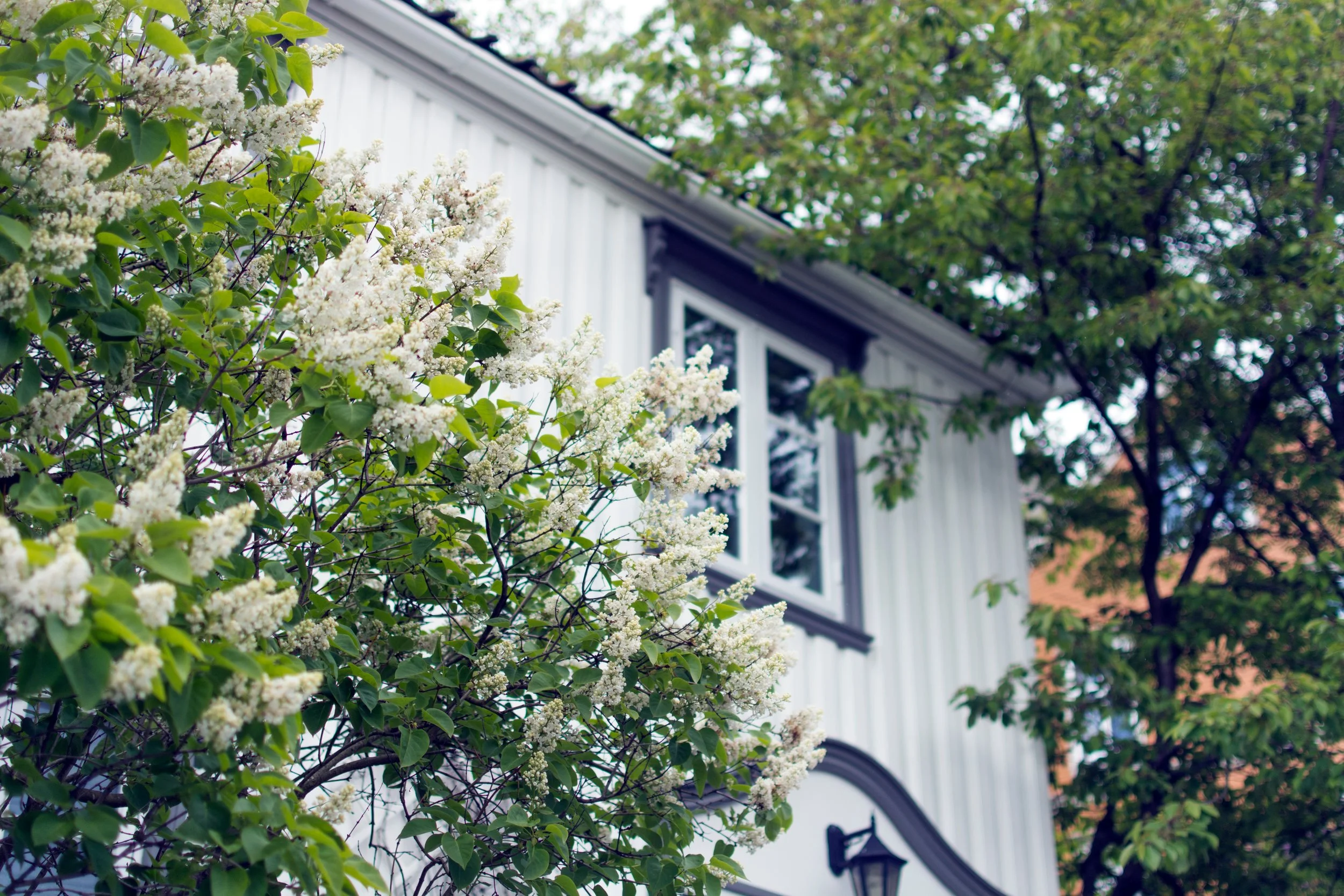 Downsizing: the thought of moving to a smaller home can often be overwhelming . We work with you room by room to sort through your possessions and help you determine what to donate, sell, toss, or pack. Our style is professional yet compassionate and nonjudgmental because we understand this process can be emotionally draining.
