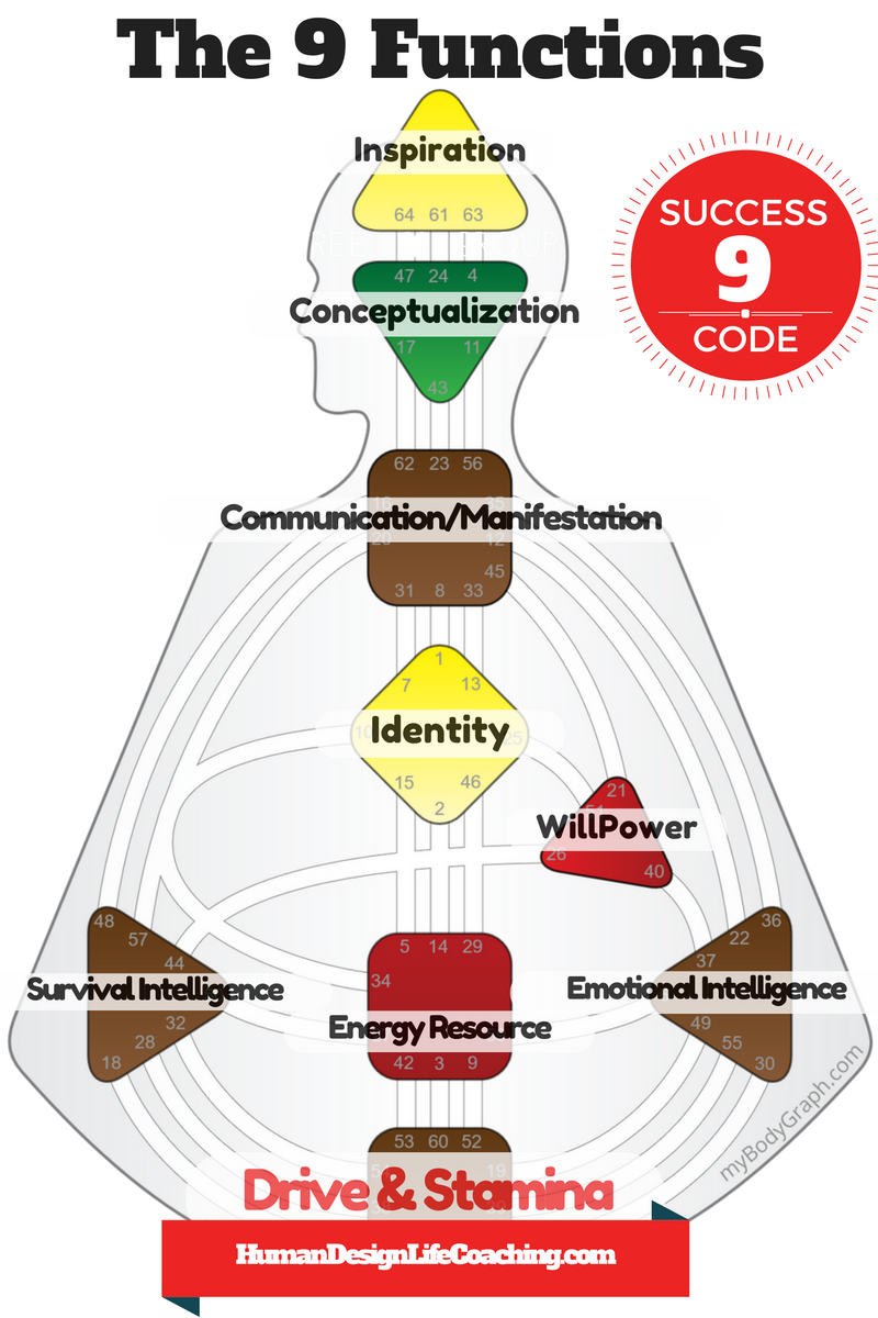 9-career-functions-success.png