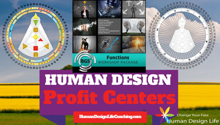 Human Design Profit Centers