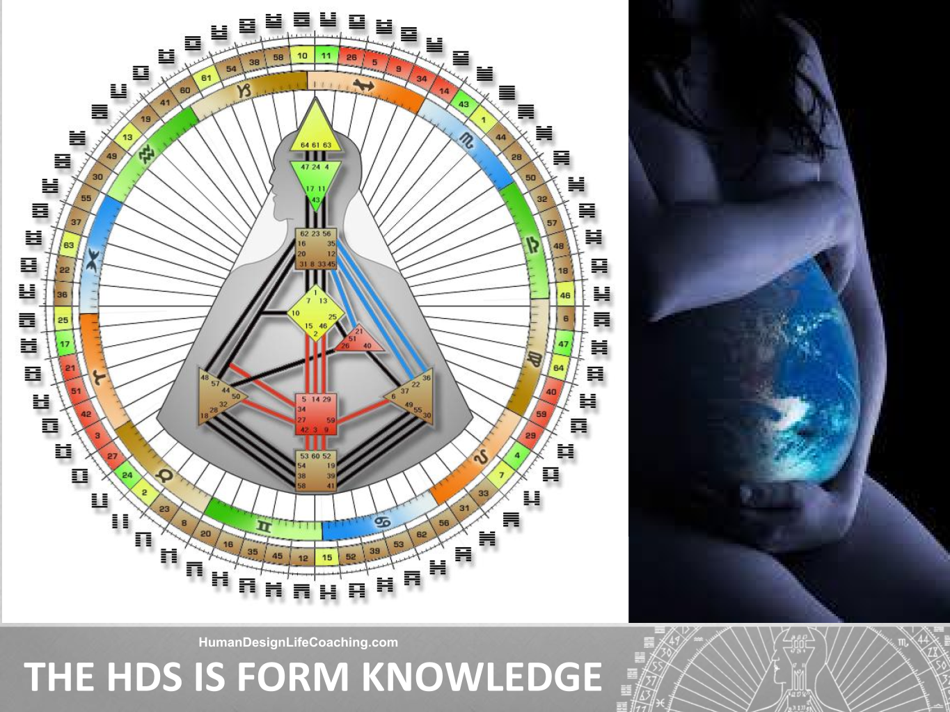 Human-Design-System-Form-Knowledge