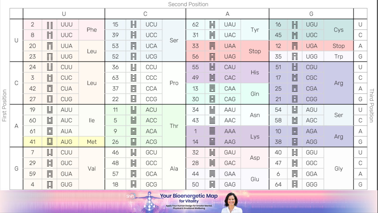 The Codon Code in Human Design: Ra Uru Hu's Revelation of Genetics and the 64 Gates