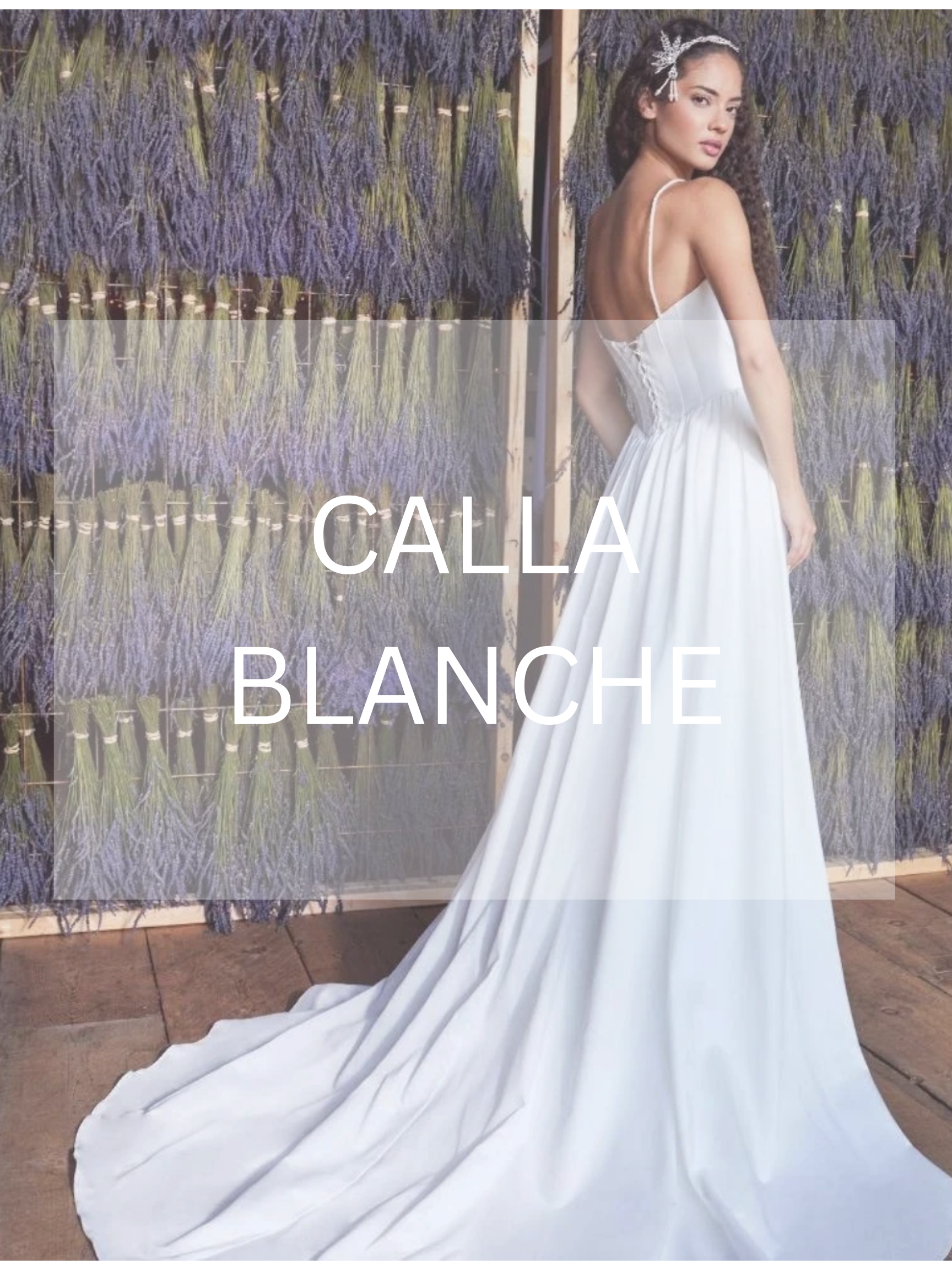 CALLA BLANCHE