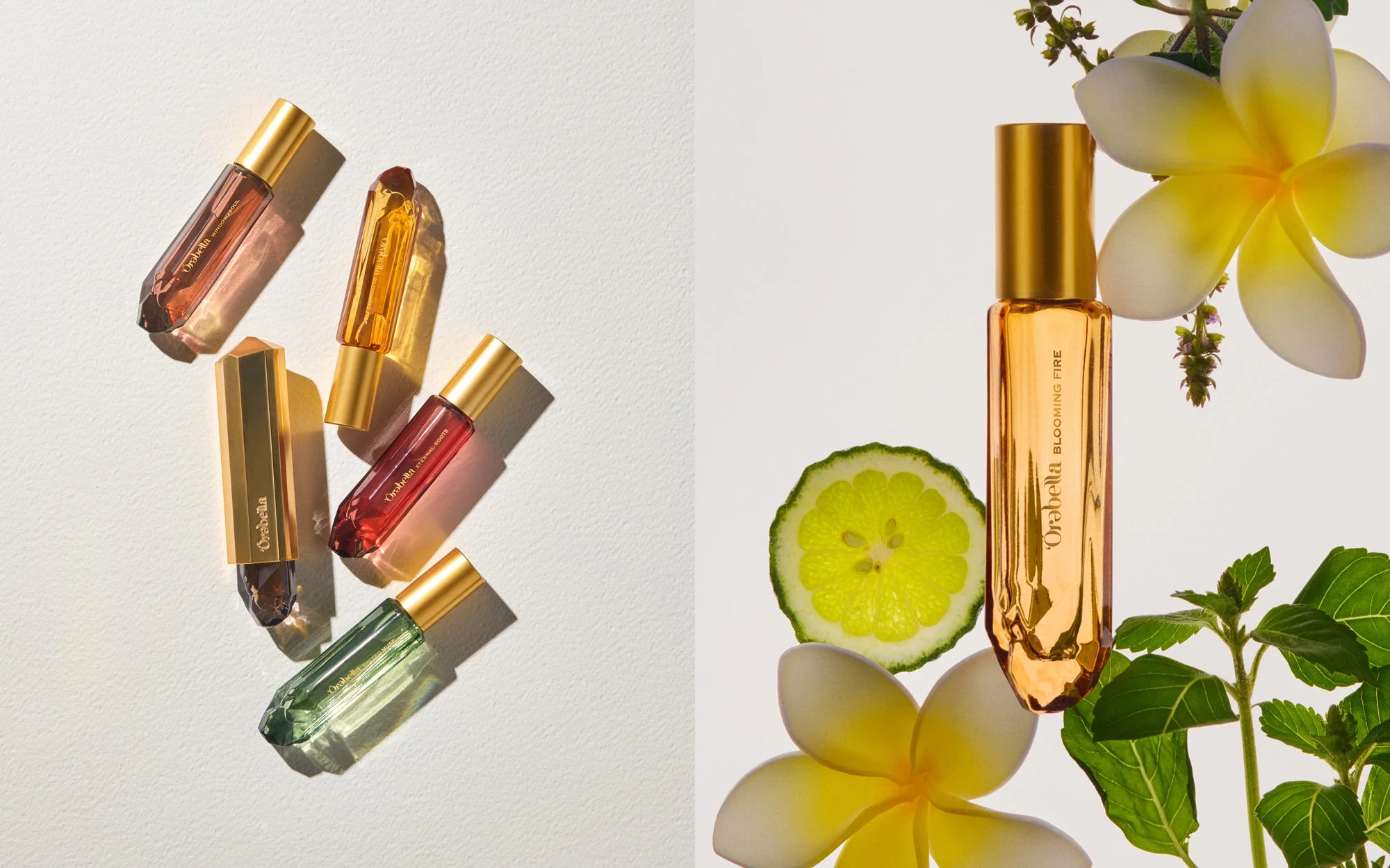 08_Ingredients_BloomingFire_02.jpg
