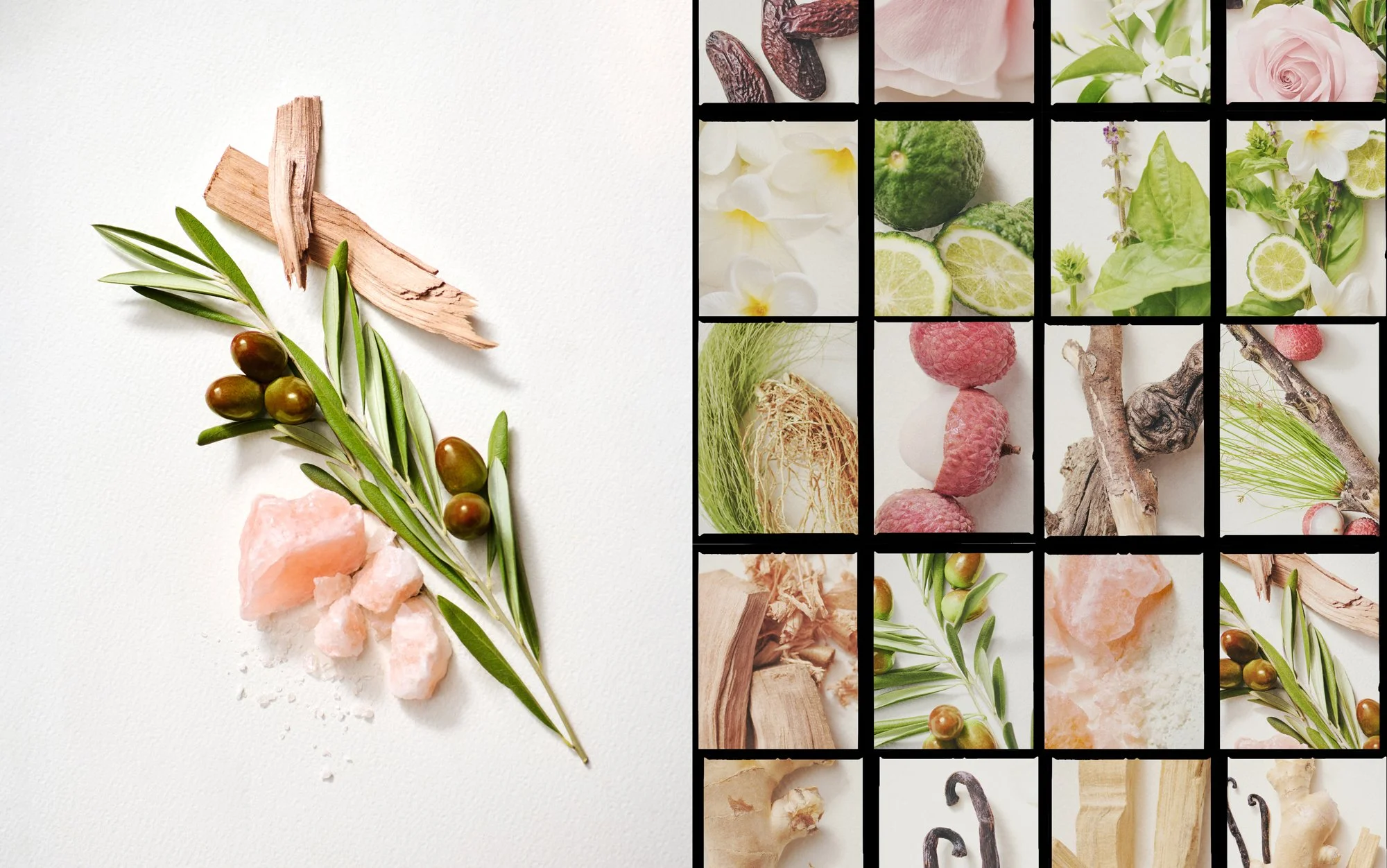 14_Ingredients_SaltedMuse_08.jpg
