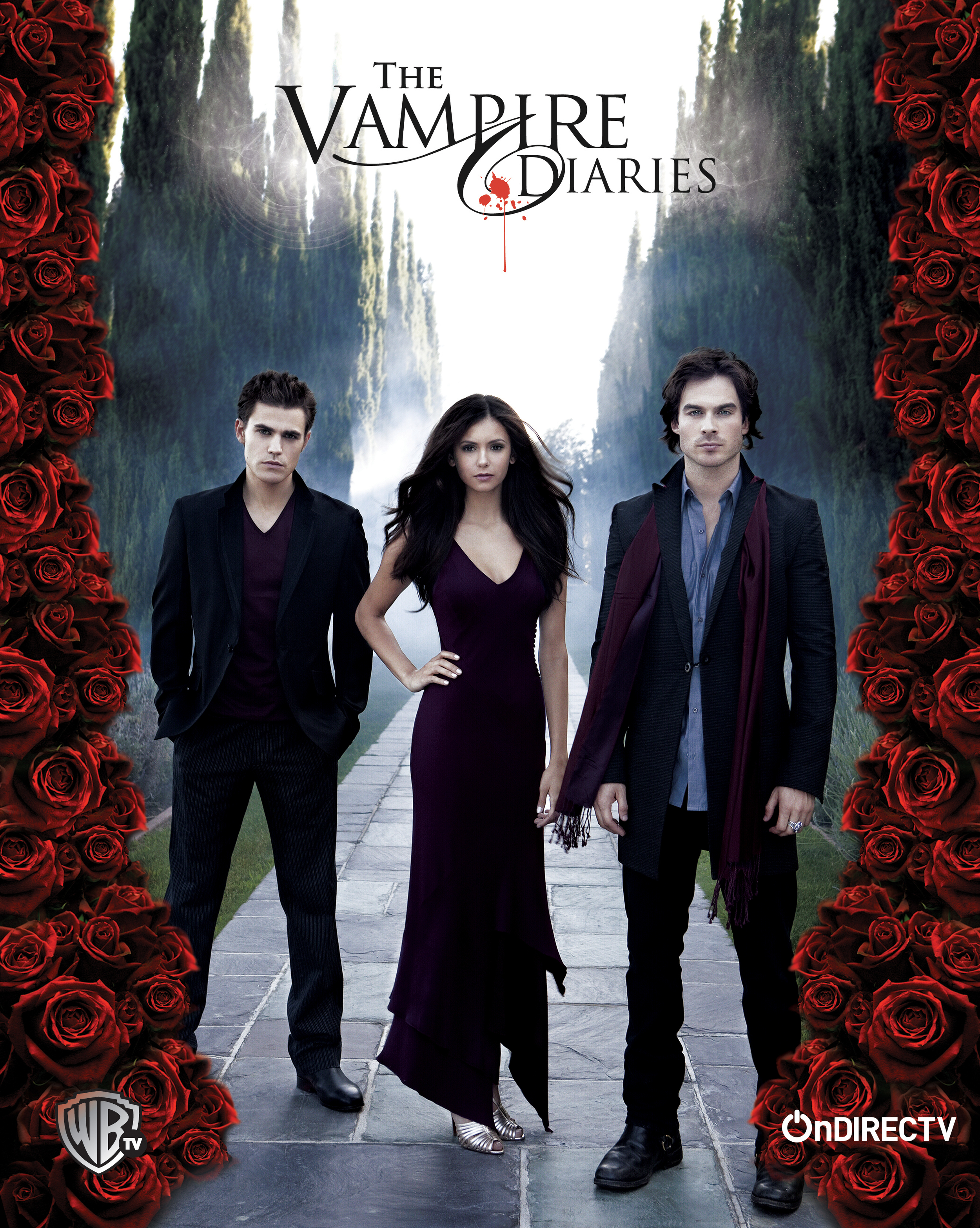 ACCESS_Vampire_Diaries_Final.jpg