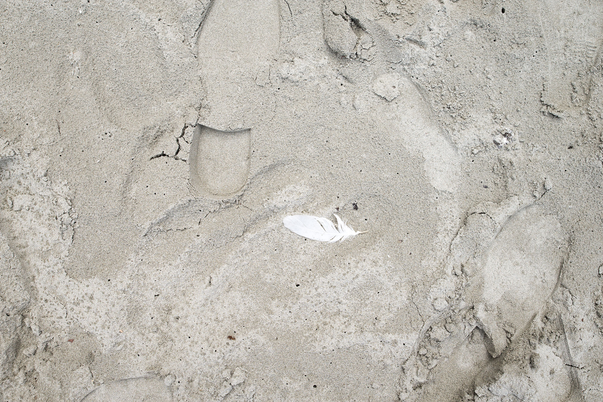 DSC_2182.jpg