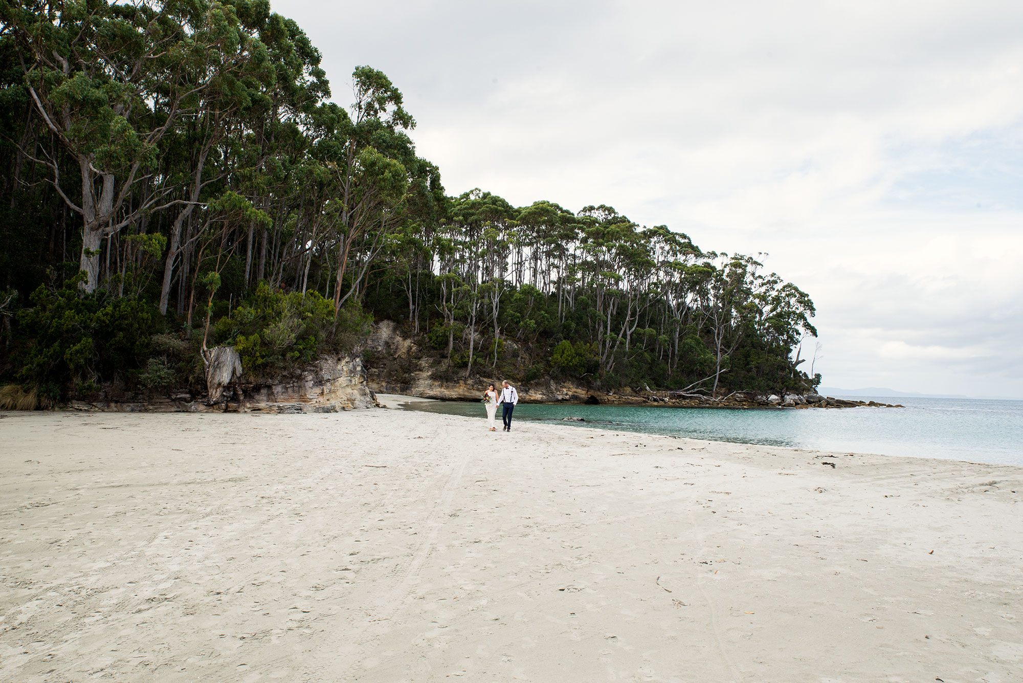DSC_2649.jpg