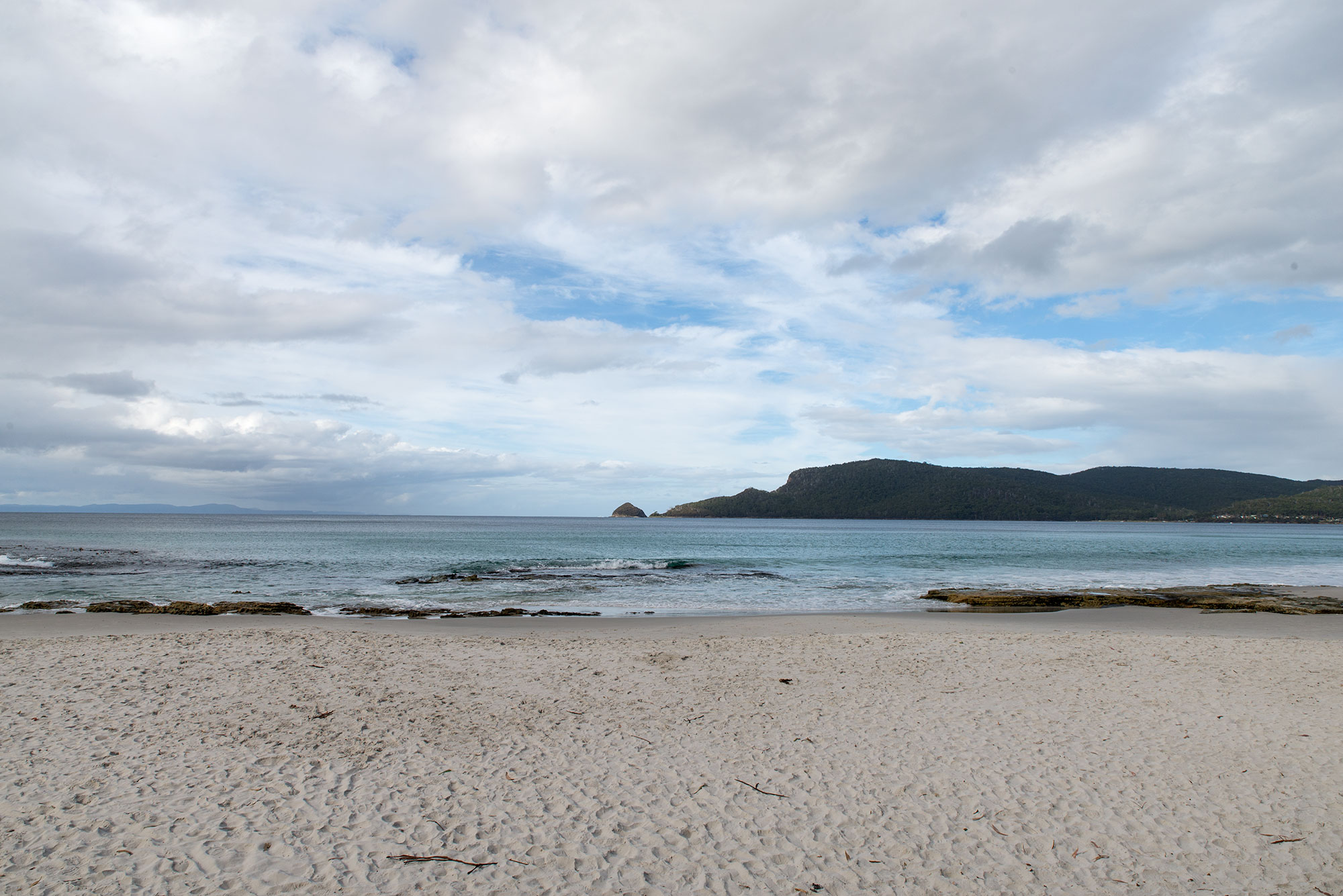 DSC_2677.jpg
