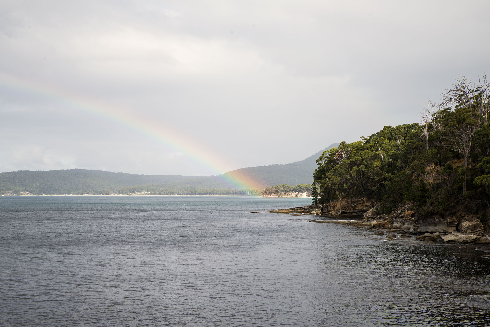 DSC_2692.jpg