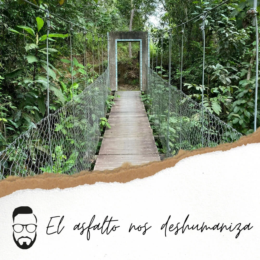 El asfalto nos deshumaniza