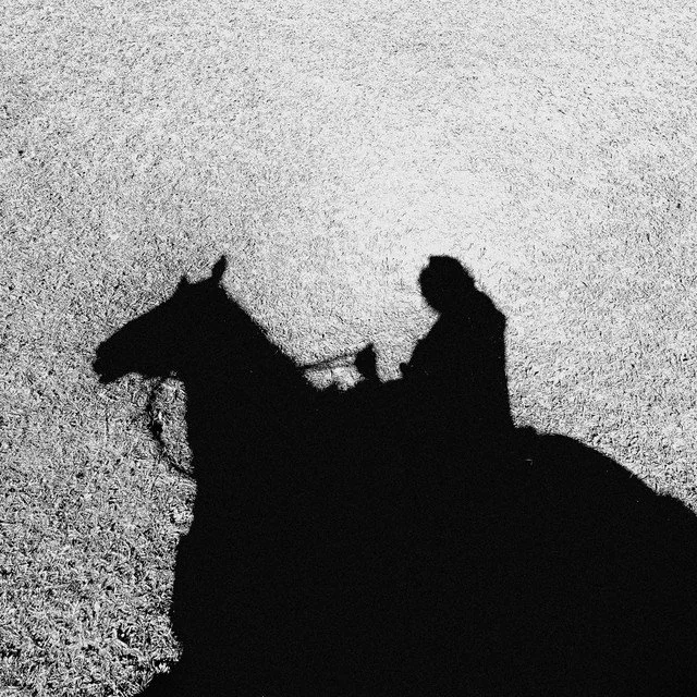 Ellery Harper - 'Stranger'