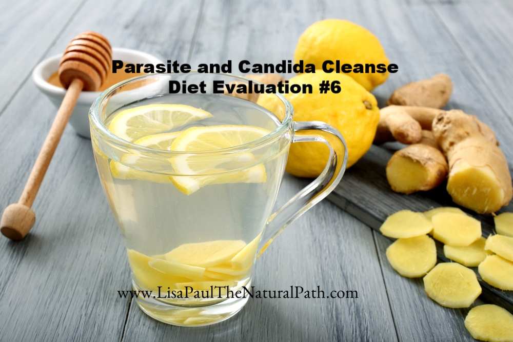 Parasite And Candidia Cleanse Lisa Paul