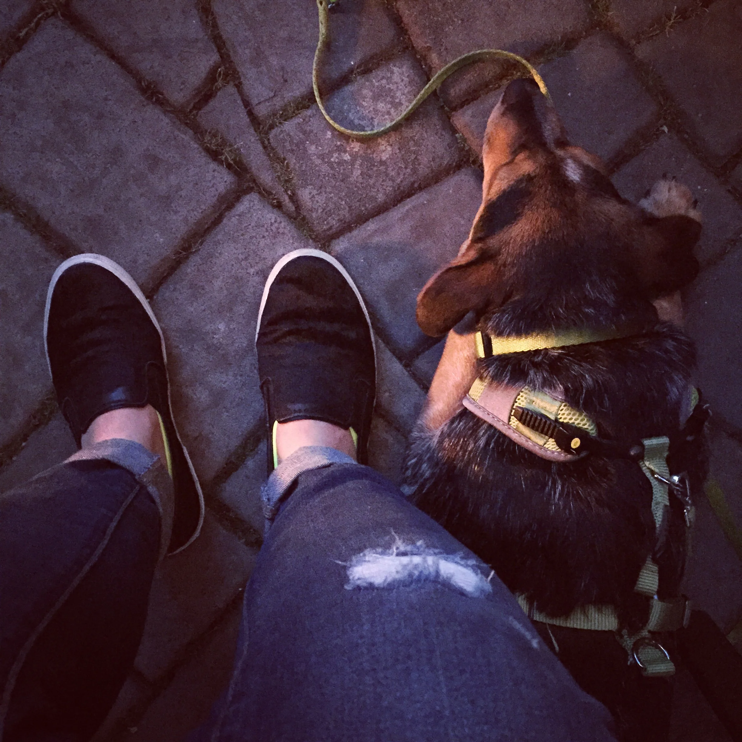 Asleep on the job...as usual.