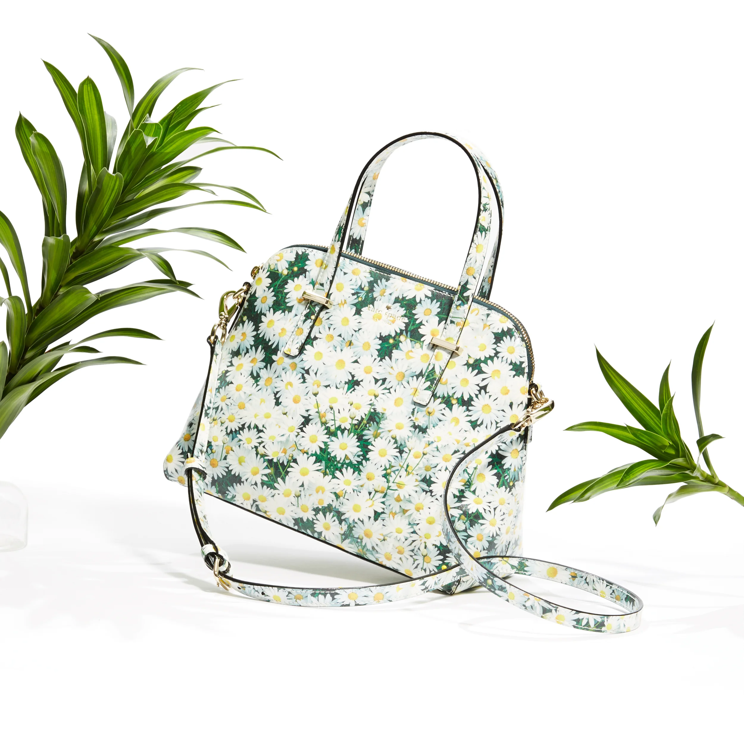 KateSpade.jpg
