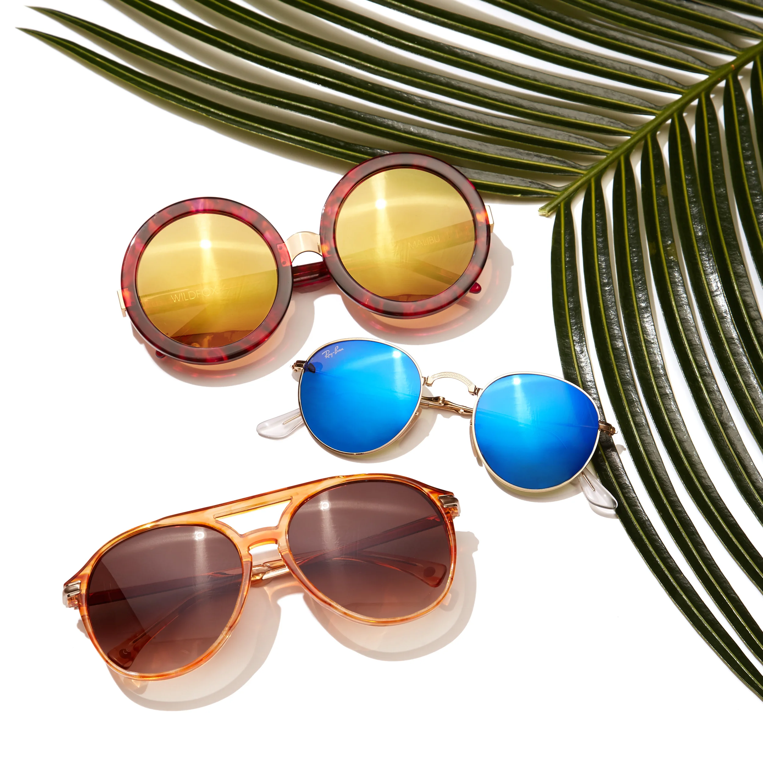 Sunglasses.jpg
