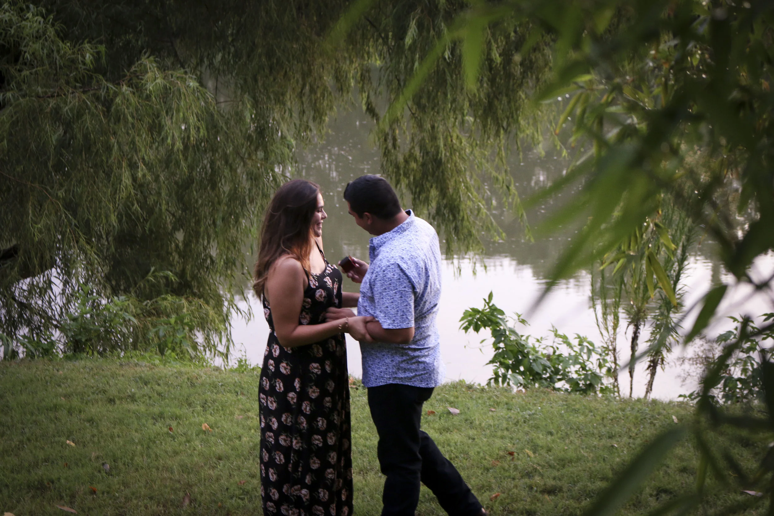 Eric + Clarissa Proposal