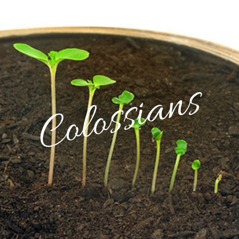 Colossians.png